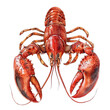 A close up of a large red lobster with its claws extended