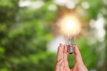 Wall Mural - hand holding bright light bulb at nature