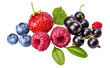 Fresh berries. Mix of summery fruits raspberry, strawberry, currant, blueberry and wild strawberry with green leaves. Still life, isolated. PNG.