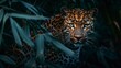 beautiful portrait of a leopard