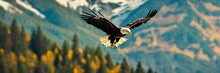 American Bald Eagle In Flight Over The Forest