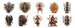 Intricate statues of Goddess Durga in various artistic interpretations cut out png on transparent background