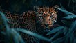 majestic leopard in its habitat