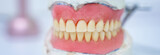 Fototapeta  - Dental prostheses, dental concept. stock photo