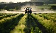 A tractor spraying pesticides on a vast field of crops on a spring day in the countryside
