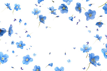 Wall Mural - blue flower flew petals isolated transparent background