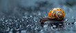 Macro shot of a colorful snail with copy space, Snail banner  