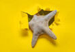 A dry starfish peeks out from a torn hole in yellow paper. Summer vacation and beach season concept.