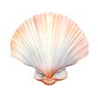 Sea shell isolated on white background. Clipping path included. 3D illustration.