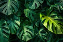 Abstract Background Of Big Green Leaves - Generative Ai