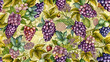 seamless pattern of grapes