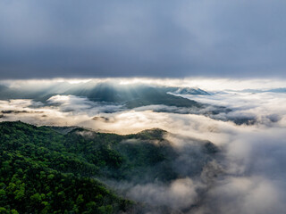 Canvas Print - Aerial photography of clouds and fog in the mountains