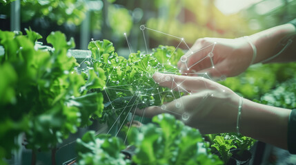 Wall Mural - Hand harvest organic vegetable from agriculture futuristic organic farm. High technology smart Sustainable farming technology and food innovation.. AI Generated