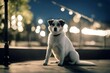 © akkash jpg - 'dog lonely animal puppy pet cute canino black terrier rottweiler jack russell portrait brown white alone beautiful city friends homeless loneliness looking nature outside poor road sad stray street'