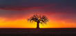 The silhouette of a single, ancient tree standing on a vast, open plain at sunset. 32k, full ultra hd, high resolution