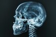 Photo of human skull x ray in natural colors