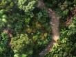 Capture a mesmerizing birds-eye view of a vibrant forest runway showcasing sustainable fashion trends with intricate details Embrace unexpected camera angles to highlight eco-friendly materials and in
