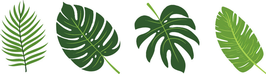 Wall Mural - Set of vector tropical leaves and palm fronds on a white background