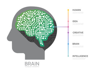 Wall Mural - circuit brain concept infograph technology template, presentation vector infographics.