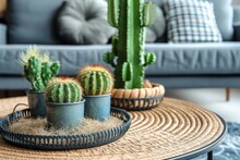 Round Coffee Tables With Straw Mats And Cactuses In Metal Flowerpots In A Modern Apartment Seen From A Close Viewpoint