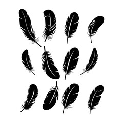 Wall Mural - Feather silhouette. Hand drawing sketch of feather icons and vector illustration