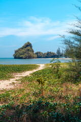 Wall Mural - summer day sea beach scenery Grass and small islands at the sea