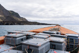 Fototapeta Konie - Containers with lobsters on a deck of a fishing boat