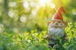 A gnome figurine sitting in the middle of a field surrounded by lush greenery, under clear skies, creating a whimsical scene