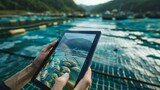 Fototapeta Big Ben - Hand holding tablet shorting Aquaculture Farm