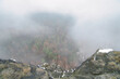 View from the large Zschirnstein into the valley of colorful conifers through fog
