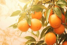 Tangerine Dream Artistic Filters: Pastel Orange Delights