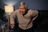 Fototapeta Lawenda - senior woman suffering from lower back pain in living room at night