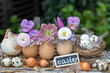 Eiern dekoriert mit Frühlingsblumen als Oster-Arrangement 