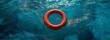 A Red Lifebuoy Afloat in Blue Waters and Efficiently Navigating the Open Sea