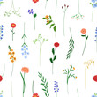 Seamless floral pattern, print. Botanical background with flowers, stems, delicate blooms, wildflower branches. Endless summer texture design. Flat vector illustration for fabric, textile, wrapping