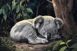 cartoon illustration, a koala sleeping under a tree