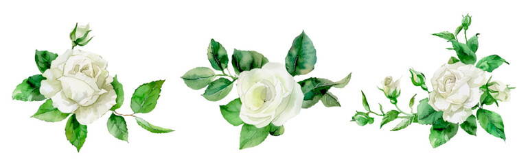 Watercolor bouquet of white roses png. Template for use as greeting card, invitation for wedding, birthday and other celebration. Vector botanical watercolor illustration.