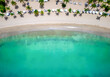 Aerial top down view of Carlisle Bay beach with coconut palm trees and emerald sea, Antigua and Barbuda, Caribbean