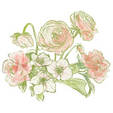 Fototapeta  - Oil painting abstract bouquet of ranunculus, rose and jasmine. Hand painted floral composition isolated on white background. Holiday Illustration for design, print, fabric or background.