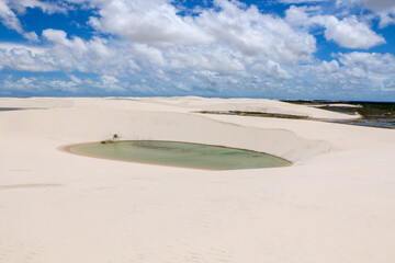 sand dunes on the beach