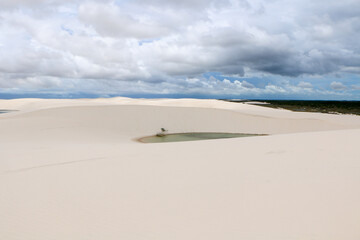 sand dunes in the desert