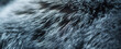 Natural short-haired fur. Macro photography .Background of sheep wool on a hat. Mouton sheep's wool. 

