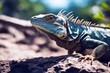'a lizard picture dragon small iguana lizzard reptile wildlife gecko animal copy funny hang isolate jungle claw closeup crawling creature creeper creepy dumb environment fauna forest green leisure'