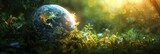 Fototapeta  - green planet and some plants