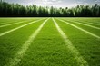 A pristine green grass of a soccer field adorned with bold white lines