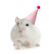 Cute hamster with party hat on white background