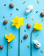 Easter composition with yellow daffodils, chocolate eggs, small green leaves and bunnies on blue background. Top view