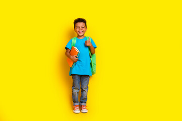 Wall Mural - Full length photo of cool confident preteen boy wear blue t-shirt walking showing thumb up empty space isolated yellow color background