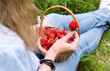 Young woman eats ripe strawberries sitting on the grass. Healthy lifestyle concept. Selective focus.