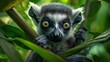 A baby lemur with big eyes and a curious expression on its face is sitting on a branch in a tree.